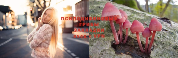 ПСИЛОЦИБИНОВЫЕ ГРИБЫ Балабаново