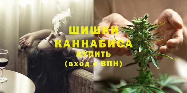 не бодяженный Дмитриев