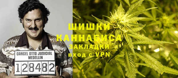 ПСИЛОЦИБИНОВЫЕ ГРИБЫ Балабаново