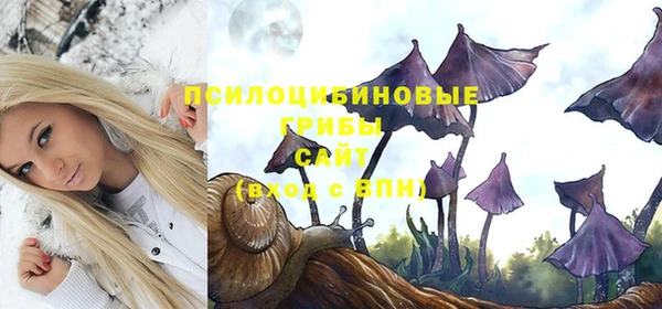 спиды Балахна